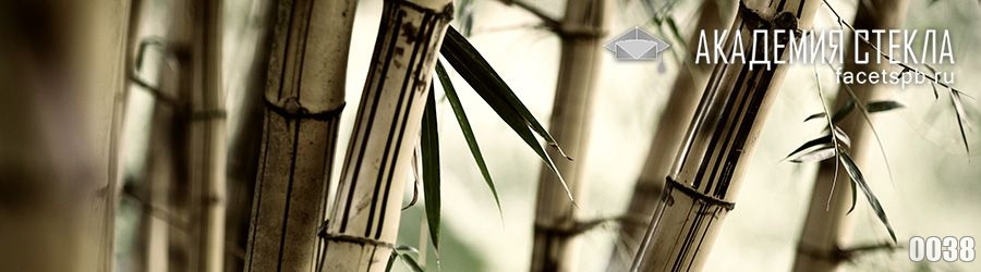 Фото для фартука бамбук