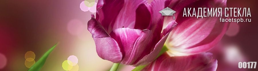 Фото для фартука розовые тюльпаны