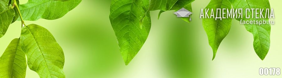 Фото для фартука зелёные листья