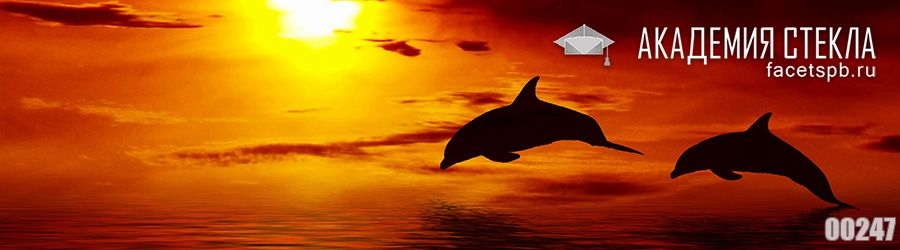 фото для фартука закат и дельфин